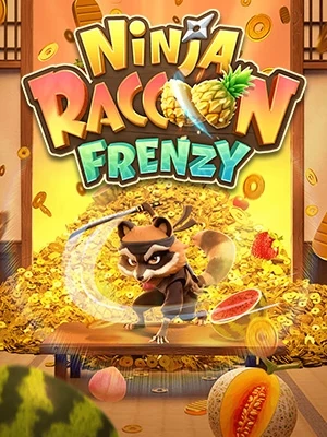 ninja raccoon frenzy 3
