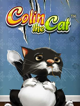 Colin The Cat